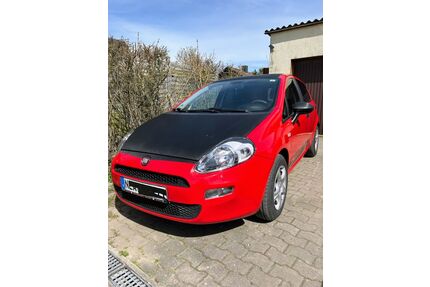 Fiat Punto Gebrauchtwagen