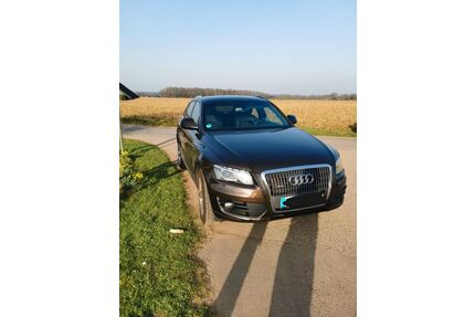 Audi Q5 Gebrauchtwagen