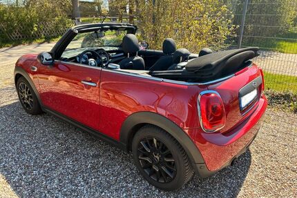 Mini One Cabrio Gebrauchtwagen