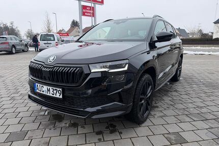 Skoda Karoq Gebrauchtwagen