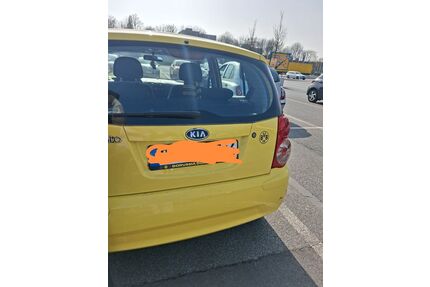 Kia Picanto Gebrauchtwagen