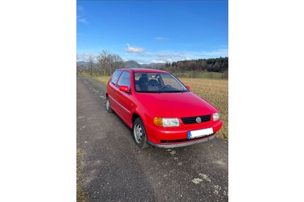 VW Polo Gebrauchtwagen