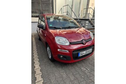 Fiat New Panda Gebrauchtwagen