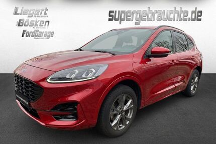 Ford Kuga Gebrauchtwagen