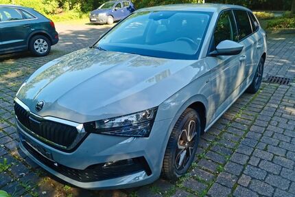 Skoda Scala Gebrauchtwagen
