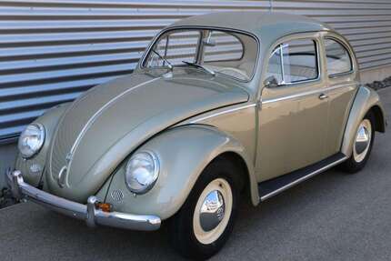 VW Käfer Gebrauchtwagen