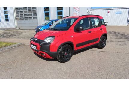Fiat Panda Gebrauchtwagen
