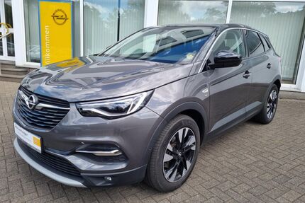 Opel Grandland (X) Gebrauchtwagen