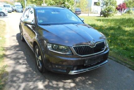 Skoda Octavia Gebrauchtwagen