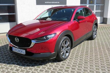 Mazda CX-30 Gebrauchtwagen