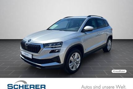 Skoda Karoq Gebrauchtwagen
