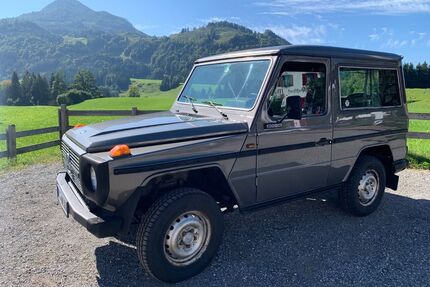 Mercedes-Benz G 230 Gebrauchtwagen