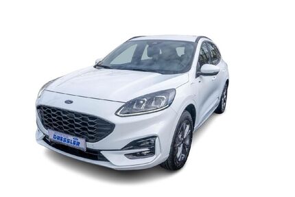 Ford Kuga Gebrauchtwagen