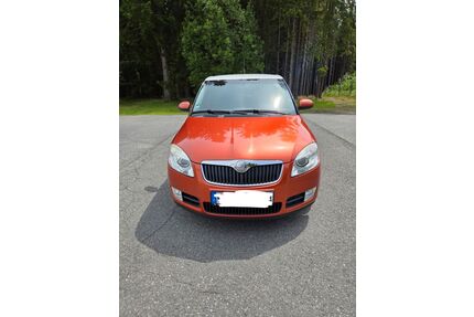 Skoda Fabia Gebrauchtwagen
