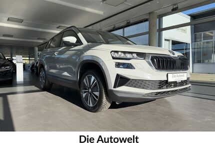 Skoda Karoq Gebrauchtwagen