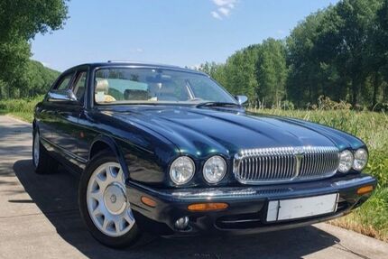 Jaguar Daimler Gebrauchtwagen