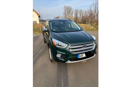 Ford Kuga Gebrauchtwagen