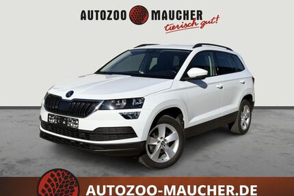 Skoda Karoq Gebrauchtwagen