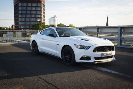 Ford Mustang Gebrauchtwagen