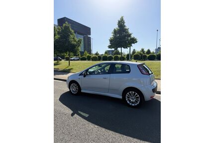 Fiat Punto Gebrauchtwagen