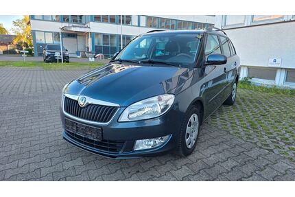 Skoda Fabia Gebrauchtwagen