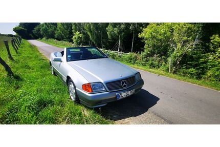 Mercedes-Benz SL 280 Gebrauchtwagen