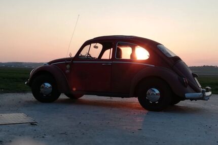 VW Käfer Gebrauchtwagen