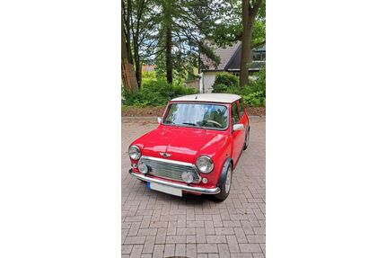 Rover Andere Gebrauchtwagen