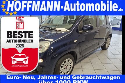 Fiat Panda Gebrauchtwagen