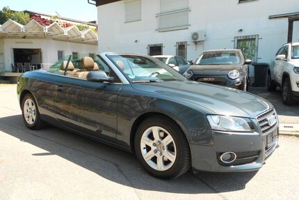 Audi A5 Gebrauchtwagen