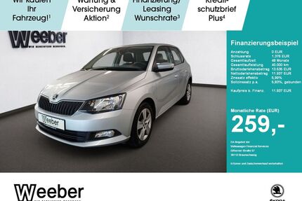Skoda Fabia Gebrauchtwagen