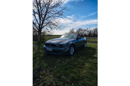 Ford Mustang Gebrauchtwagen