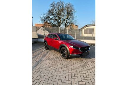 Mazda CX-30 Gebrauchtwagen