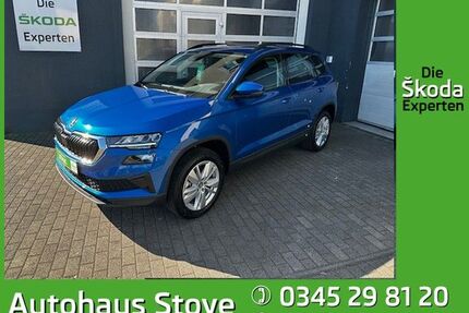 Skoda Karoq Gebrauchtwagen