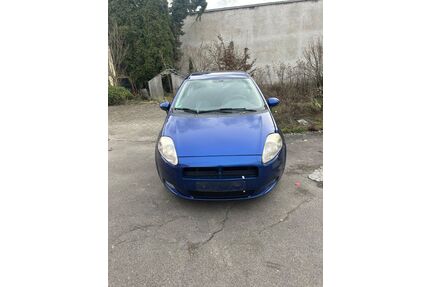 Fiat Punto Gebrauchtwagen