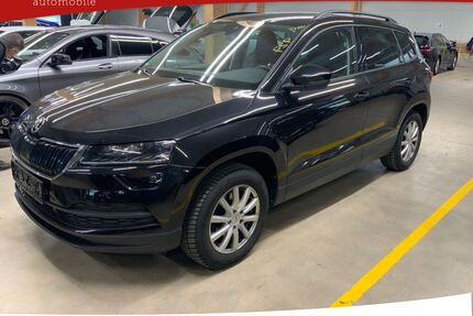 Skoda Karoq Gebrauchtwagen