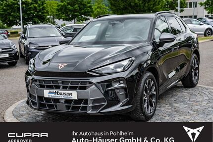 Cupra Terramar Gebrauchtwagen