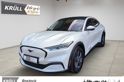 Ford Mustang Mach-E Gebrauchtwagen