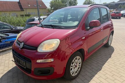 Fiat Panda Gebrauchtwagen