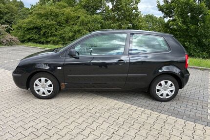 VW Polo Gebrauchtwagen