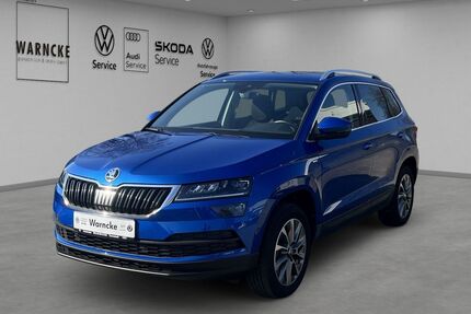 Skoda Karoq Gebrauchtwagen