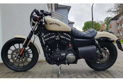 Harley Davidson Iron 883 Gebrauchtwagen