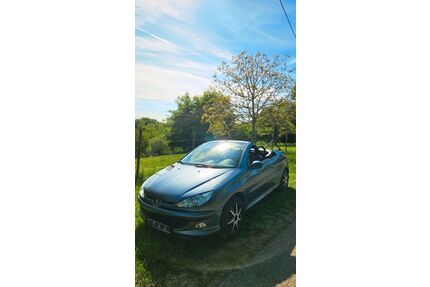 Peugeot 206 Gebrauchtwagen
