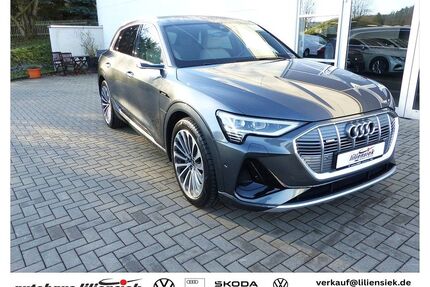 Audi e-tron Gebrauchtwagen