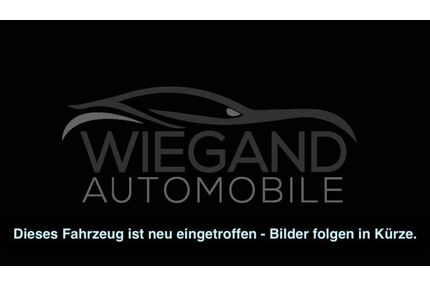 Kia Rio Gebrauchtwagen