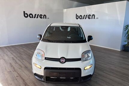 Fiat Panda Gebrauchtwagen