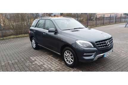 Mercedes-Benz ML 250 Gebrauchtwagen