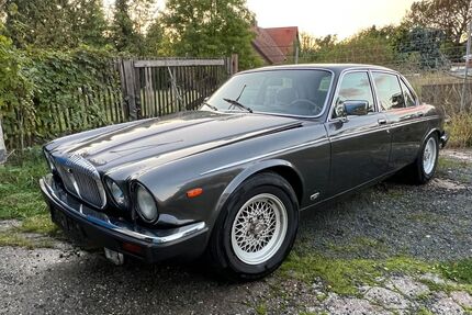 Jaguar XJ Gebrauchtwagen