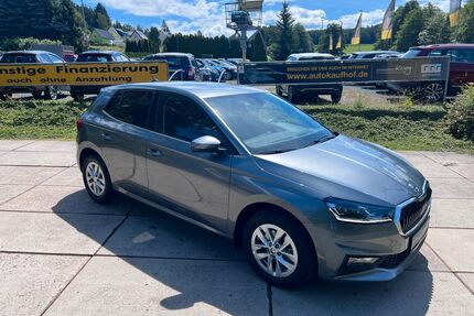 Skoda Fabia Gebrauchtwagen