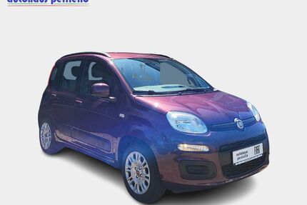 Fiat Panda Gebrauchtwagen